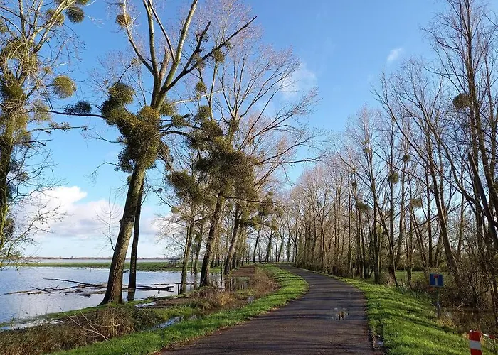 Grand Lieu : Maisonnette Au Calme Avec Jardin Hébergement de vacances *